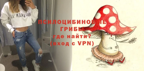 сатива Богородицк