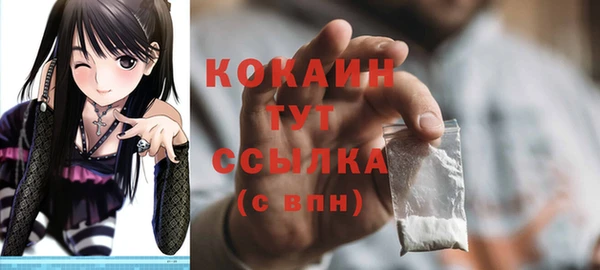 соль курить ск Богородск