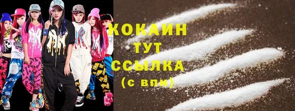 сатива Богородицк