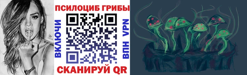 omg ссылки Новосокольники Галлюциногенные грибы мицелий